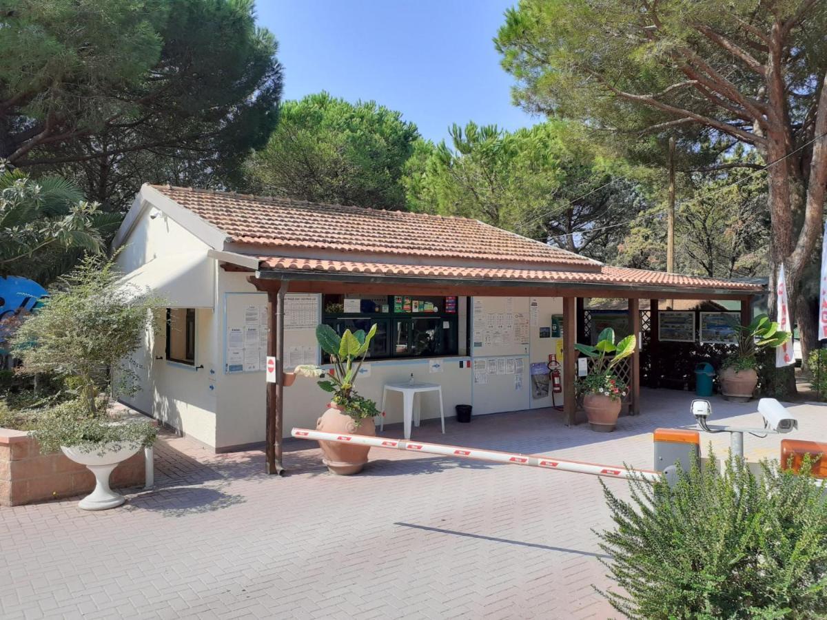 Apartment Campeggio Del Forte-1 By Interhome Marina Di Bibbona Zewnętrze zdjęcie